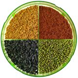 GEO - Filizlendirme Rafları - TZZ0870