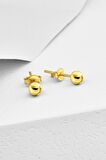Gümüş  4 mm Top Gold Renkli  Küpe