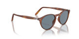 PERSOL 3092SM 900656 52 Erkek Güneş Gözlüğü