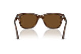 PERSOL 3372S 120857 53 Erkek Güneş Gözlüğü