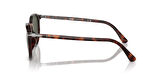 PERSOL 3210S 24/31 51 Erkek Güneş Gözlüğü