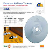 GLG 300x2x32mm BW diş Kaplamasız - HSS Daire Testere Bıçağı (Bakır, Prinç, Alüminyum Kesimi)