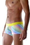 Azze Renkli Boxer