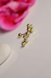 Akrep Burcu Küpe Takımyıldızı Piercing Gold Scorpio