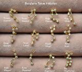 Balık Burcu Küpe Takımyıldızı Piercing Gold Pisces