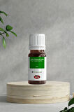 Çam Terebentin Yağı 20 Ml