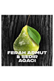 Axe Erkek Deodorant & Bodyspray Black 48 Saat Etkileyici Koku Vücut Spreyi 150 ml X3 Adet