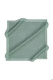 Aker 95x95 Çağla Yeşili Elegance Monogram Eşarp 1090500-951