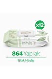 Yeşilçay Kokulu Islak Mendil - Islak Havlu 864 Mendil
