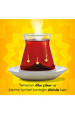 Lipton Tekdem Classıc 0,95g 20li 2 paket
