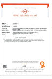 GOLFİ G305 Alüminyum Pediatrik Tekerlekli Sandalye