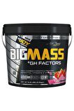 Bigjoy Sports Bigmass Gainer Gh Factors 3000 Gr Çilek Aromalı
