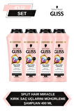 Split Hair Miracle Şampuan 400 Ml x 4 Adet