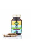 Cüce Palmiye & Yakı Otu Ekstresi 500 Mg 60 Kapsül