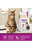 Adult Sterilised Kısırlaştırılmış Somonlu Yetişkin Kedi Maması 2 kg