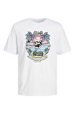 Jack & Jones Kuru Kafa T-shirt Jorbeachbone Erkek Tişört 12234309