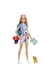 Mattel Kampa Gidiyor Oyun Set Hdf72-hdf73 Lisanslı Ürün P