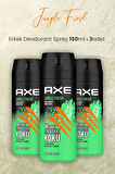 Jungle Fresh Erkek Deodorant Sprey 150 ml x 3 Adet