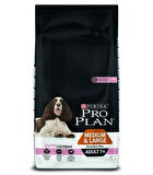 Pro Plan Somonlu Hassas Yasli Kuru Köpek Maması 14 Kg