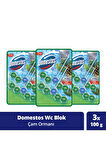 Domestos Wc Blok 5'li Güç Çam Ferahlığı Maksimum Hijyen 100 G X3