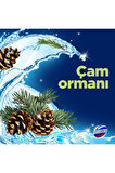Domestos Wc Blok 5'li Güç Çam Ferahlığı Maksimum Hijyen 100 G X3