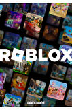 2000 Robux ( 25 Usd )