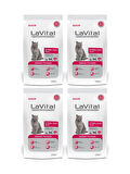 Lavital Somon Balıklı Kısırlaştırılmış Kuru Kedi Maması 1.5 Kg*4 Adet