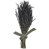 Lavanta Demeti 40-50 Cm 2 Adet 