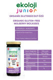Organik Bebek Dut Özü 290 Gr 6 lı Paket Organic Baby Mulberry Extract 290 Gr 6 Pack