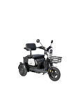 APM2 3 Tekerlekli Moped