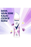 Rexona Kadın Sprey Deodorant Mystic Love %0 Alüminyum 48 Saat Ter Kokusuna Karşı Koruma 150 ml X3
