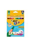 Lisinya193 Bic Evolution Üçgen Jumbo Kuru Boya Kalemi 12`li