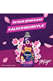 Yumoş Uzman Renk Koruma Konsantre Yumuşatıcı 4x1200ml