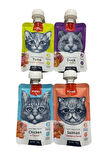Wanpy Tasty Meat Paste Taze Sıvı Kedi Ödül Maması Kedi Ödül Maması 4x90gr