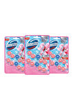 Domestos Tuvalet Bloğu Manolya Buketi 3 x 100 G