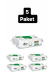 Yüzey Temizlik Havlusu 100' Lü 5 PAKET 500 YAPRAK