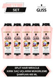 Split Hair Miracle Şampuan 400 Ml x 5 Adet