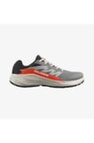 SALOMON ALPHAGLIDE GORE-TEX CASRLEROCK LUNAR ROCK ERKEK KOŞU/SPOR AYAKKABISI