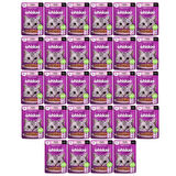 Whiskas Pouch Sos Içinde Somonlu Yetişkin Kedi Konservesi 85 gr x 28