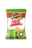 GÜNBAK TOZ İÇECEK KİVİ 250 GR X 12 ADET