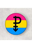 Pansexual Buton Rozet