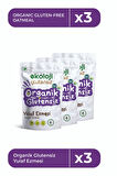 E.M. Organik Glutensiz Yulaf Ezmesi 300 Gr / 3 Adet 