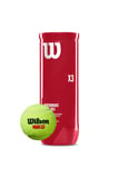 WR8900801001 3 lü Padel Topu
