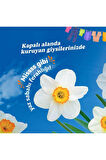 Yumoş Açık Hava Esintisi Deterjan Nergis 4x1200ml