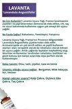 5'li En Çok Satanlar Lavanta Yağı, Gül Yağı, Yasemin Yağı, Misk Adaçayı Yağı, Ylang Ylang Yağı Uçucu