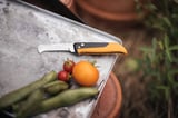 Fiskars Fiskars K80 Katlanır Hasat Bıçağı 1062819
