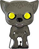 Funko Emaye Pin Filmleri: Harry Potter - Remus Lupin, Koleksiyonluk Vinil Figür - Hppp0018
