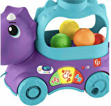 Fisher-Price Eğlenceli Dinozor, 12-36 Aylık, Hnr55