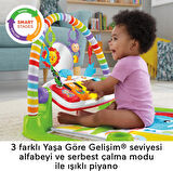 Fisher-Price Delüks Piyanolu Jimnastik Merkezi (Türkçe), 0 - 36 Aylık, Fwt16
