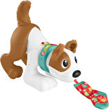 Fisher Price Emeklemeyi Ve Saymayı Öğreten Köpekçik